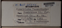 Image Associated With the Occurence